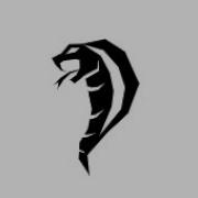 Viper Obfuscator 2022