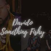 Davido Something Fishy Lyrics Video
