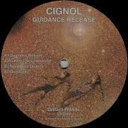 Cignol Near Earth Objects DWT009