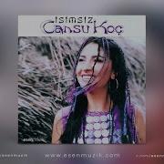 Cansu Koç Akşamlar Official Audio