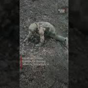 Russian Soldier Surrenders To Ukrainian Drone Outside Bakhmut