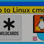 4 Wildcards Explained Introduction To Linux Command Line