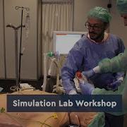 Hands On Learning Through Simulation Workshops