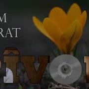 MEM ARARAT Pîvok