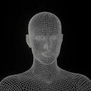 Wireframe Design Model Of Human Being HD 1440p