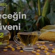 Yiyeceğin Serüveni Mısır 2 Bölüm TRT Belgesel