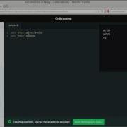 Codecademy Introduction To Ruby 9 16 Upcase And Downcase