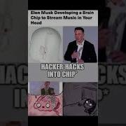 Programming Meme 19 Debugging Struggles Coding Shorts Viral Funny