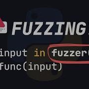 Fuzzing In Python Can PREVENT Your Functions From FAILING