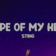 Sting Shape Of My Heart Lyrics