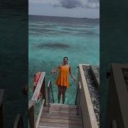 Wait For The Jump In The Indian Ocean Shorts Maldives