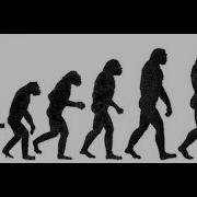 Eng 1 The Evolution Of Cooperation