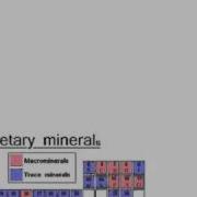 The Process Of Aging Flv