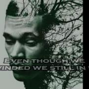 Trip Lee Sweet Victory Lyric