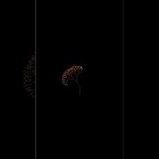 Amazing Tree Graphics Design In Python Coding Python Graphic Coding Shorts Python Viral