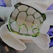 Я ПОТРЯСАЮЩ от того как получилась эта морская черепаха Вы должны УВИДЕТЬ этот DIY проект и