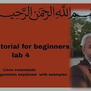 Linux Tutorial For Beginners Lab 4 Linux Commands Options And Arguments Explained With Examples
