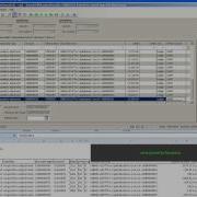 Sending Data To Different Application From Excel Using Application Sendkeys VBA