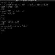 How To Run A Script In Linux Multiple Ways