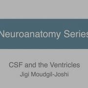 CSF And The Ventricular System