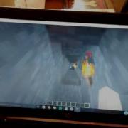 The Legendary Dead Bush Meet ExplodingTNT