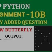 Hollow Butterfly Assignment 10B Python CCBP 4 0 Newly Added Question
