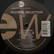 Do Anything Radio Edit Natural Selection