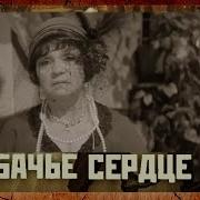 СКОЛЬКО ВАМ ЛЕТ СУДАРЫНЯ Профессор Преображенский СОБАЧЬЕ СЕРДЦЕ М Булгакова