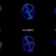 Thomas Cyclically Symmetric Attractor