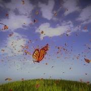 NVJOB Simple Boids 500 Butterflies Divided Into 10 Flocks