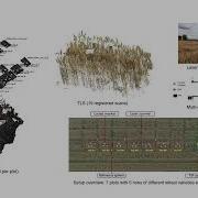 Joaquin Gajardo Wheat 3DGS In Field 3D Reconstruction Instance Segmentation And Phenotyping