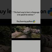 Best Way To Learn Python Harry Potter Memecoding Funny Meme