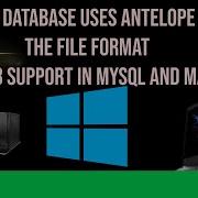 Your Database Uses Antelope As The File Format Full UTF 8 Support In MySQL And MariaDB