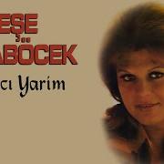 Neşe Karaböcek Yalancı Yarim 45 Lik Plak Kayıtları