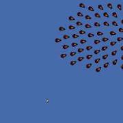Flocking Demo In XNA