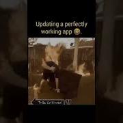 Programming Funny Video Memes Shorts