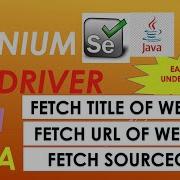 How To Fetch Title URL And Source Code Of Webpage Selenium Webdriver Java