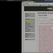 DVWA Command Execution Examples With ConnectBack Shell
