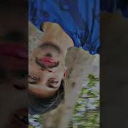 Crazy Mobile Videography Editing Tutorial Shorts Tutorial