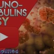 Immunoglobulins Structure And Function Antibody Structure Types And Function