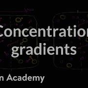 Concentration Gradients Membranes And Transport Biology Khan Academy