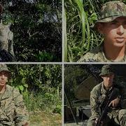 Jungle Workhorse Combat Logistics Regiment 3 Marines Conduct Command Post Exercise