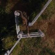 ANNE Trailer CBC Netflix 2017