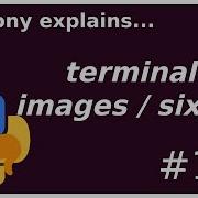 Images In The Terminal What Is A Sixel Beginner Intermediate Anthony Explains 191