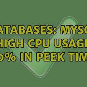 Databases MySQL High CPU Usage 100 In Peek Times 2 Solutions