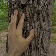 Ryabsoon LSD Trip VISUALS Official Video Трип от первого лица