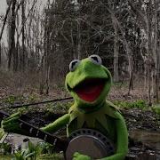 A Special Performance Of Rainbow Connection From Kermit The Frog The Muppets
