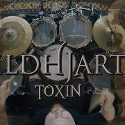 Alex Rudinger VILDHJARTA TOXIN