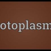 Protoplasmic Meaning