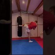 Roundhouse Kick Tutorial